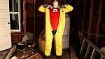 DISP YELLOW 0003