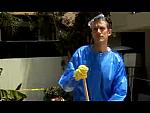 HAZMAT BLUE 0008