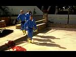 HAZMAT BLUE 0013