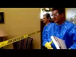 HAZMAT BLUE 0029