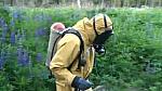 HAZMAT YELLOW 0053
