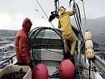 Helly Hansen
