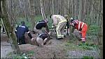 animrescue 41