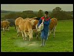 Landward 15
