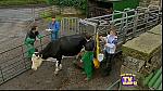 Emmerdale 099