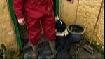 Work Farmer 06
