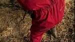 Work Farmer 13