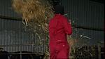 Work Farmer 14