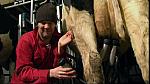 Work Farmer 18