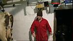 Work Farmer 21