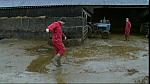Work Farmer 27