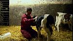 Work Farmer 47