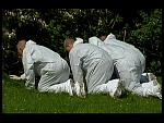 DISP WHITE 012