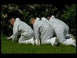 DISP WHITE 016