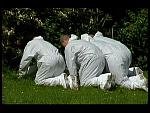 DISP WHITE 017