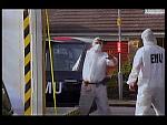 DISP WHITE 117