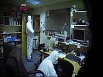 DISP WHITE 257