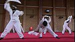 OTHELLO 052