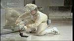 drwho 17