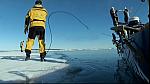 arctic 04