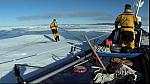 arctic 06