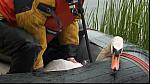 drysuit 71