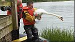 drysuit 72