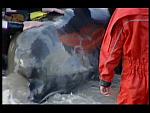londonwhale 03