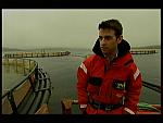 landward - fish farm