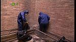 GRIME 097
