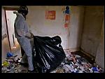 GRIME 217