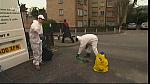 GRIME 273