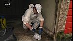 GRIME 277