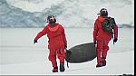 Ice 022