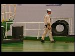 Merchant Navy 064