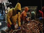 deadliest catch 02