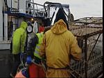 deadliest catch 08