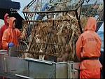 deadliest catch 09