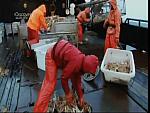 deadliest catch 10