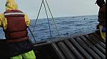 deadliest catch 27