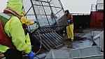 deadliest catch 28