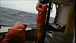 lobster 162