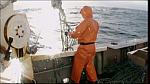 lobster 238