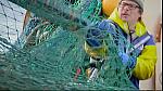 fish fight 07