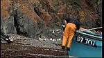 fisherman 011