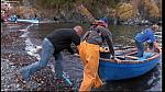 fisherman 032