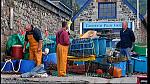 fisherman 036
