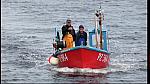 fisherman 061
