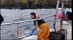 fisherman 085