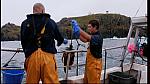 fisherman 086